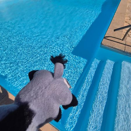 Havre De Paix Appart Climatise,Piscine,Wifi Le Barcares Luaran gambar