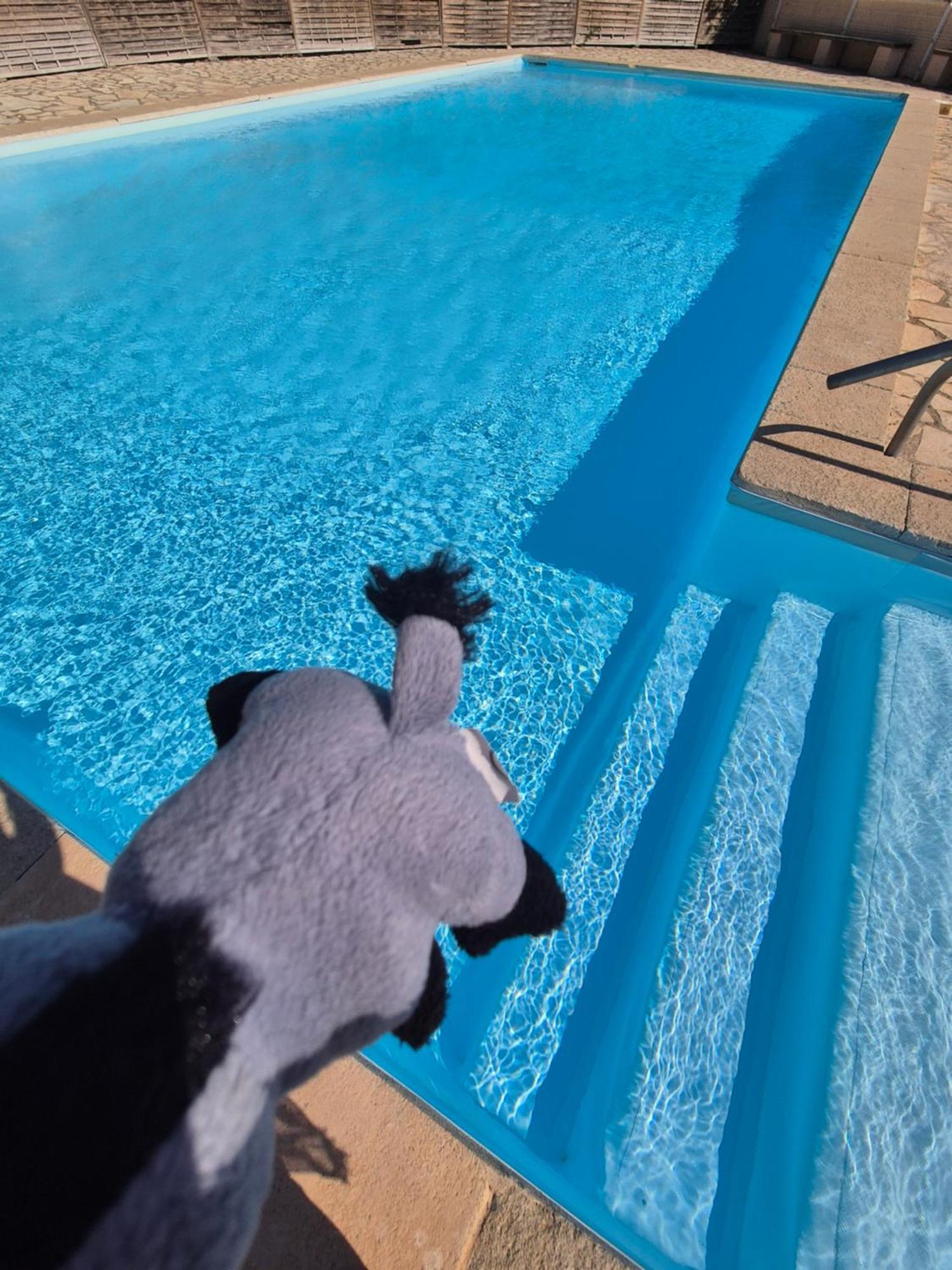 Havre De Paix Appart Climatise,Piscine,Wifi Le Barcares Luaran gambar